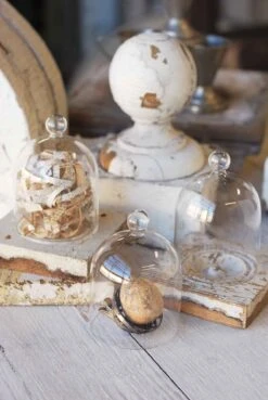 Mini Glass Cloche