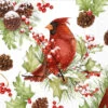 Cardinal In Holly Branch Paper Cocktail Napkin Pack