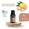 Ginger Essential Oil 15 Ml By Airome'