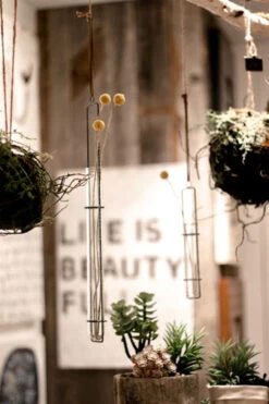 Hanging Glass Tube Vase, 3 Size Options (Pick Up Only) -Home Decor Shop GV101S1 59542