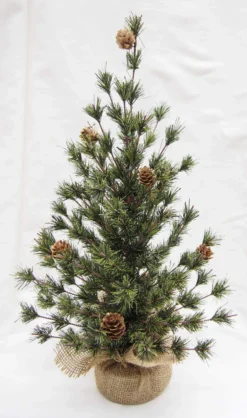 18" Spruce Seedling Tree By Porch View Home -Home Decor Shop PHDXMA220123 scaled