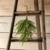 Norway Spruce Pick By Porch View Home