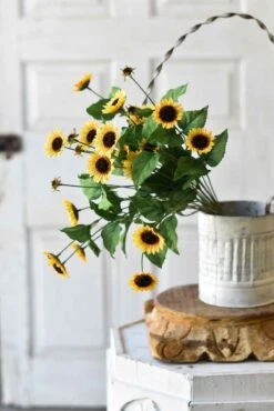 Sunrush Daisy Bush, Yellow, 22"