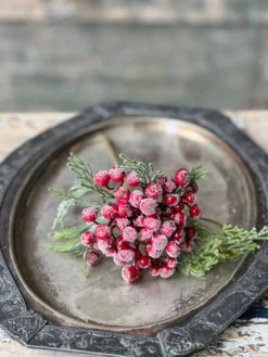 Icy Berry & Cedar Pick, Red, 10”