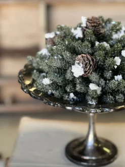 Snowy Mini Pinecone Half Sphere, 7” -Home Decor Shop XG816703 scaled