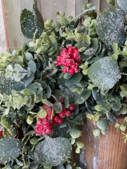 Harlequin Eucalyptus Hanging Bush, 31" -Home Decor Shop XVP9689 5fe1c5f6 e7db 4f1c 8040 367277f49bad scaled