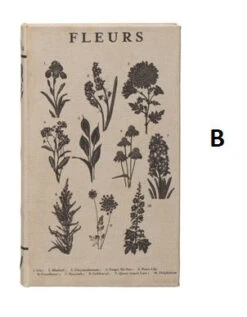 Canvas Book Storage Box “Garden Studies Prints", 2 Size/Style Options -Home Decor Shop df4805a b