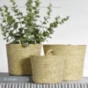 Woven Wall Pocket Basket, 3 Size Options