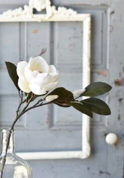 Sweetbay Magnolia Spray, 23” (Pick Up Only)