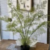 Potted Maiden Tress Fern, 33”