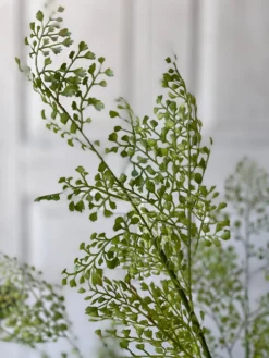 Potted Maiden Tress Fern, 33” -Home Decor Shop image a691c250 ee0f 4435 856f 2f5274998a82 scaled