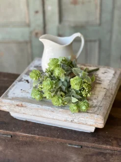 Summer Psalm Bush, Green, 11”